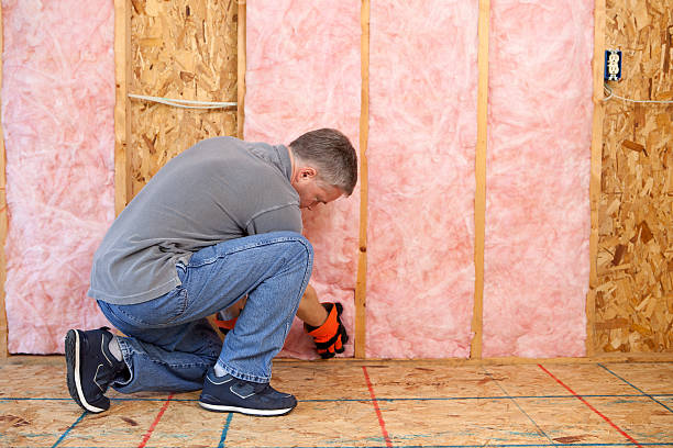 Best Radiant Barrier Insulation  in Swansea, IL